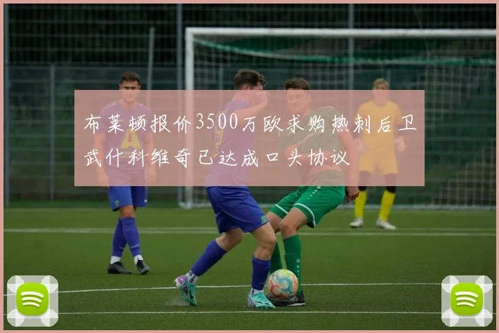 布莱顿报价3500万欧求购热刺后卫武什科维奇已达成口头协议