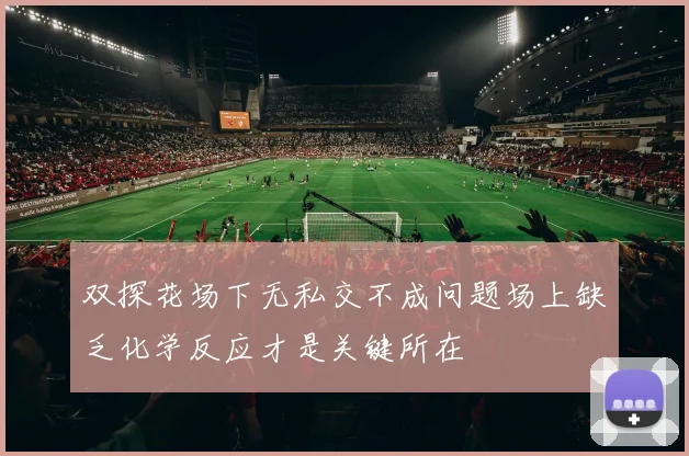 双探花场下无私交不成问题场上缺乏化学反应才是关键所在