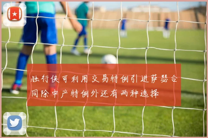 独行侠可利用交易特例引进萨瑟合同除中产特例外还有两种选择